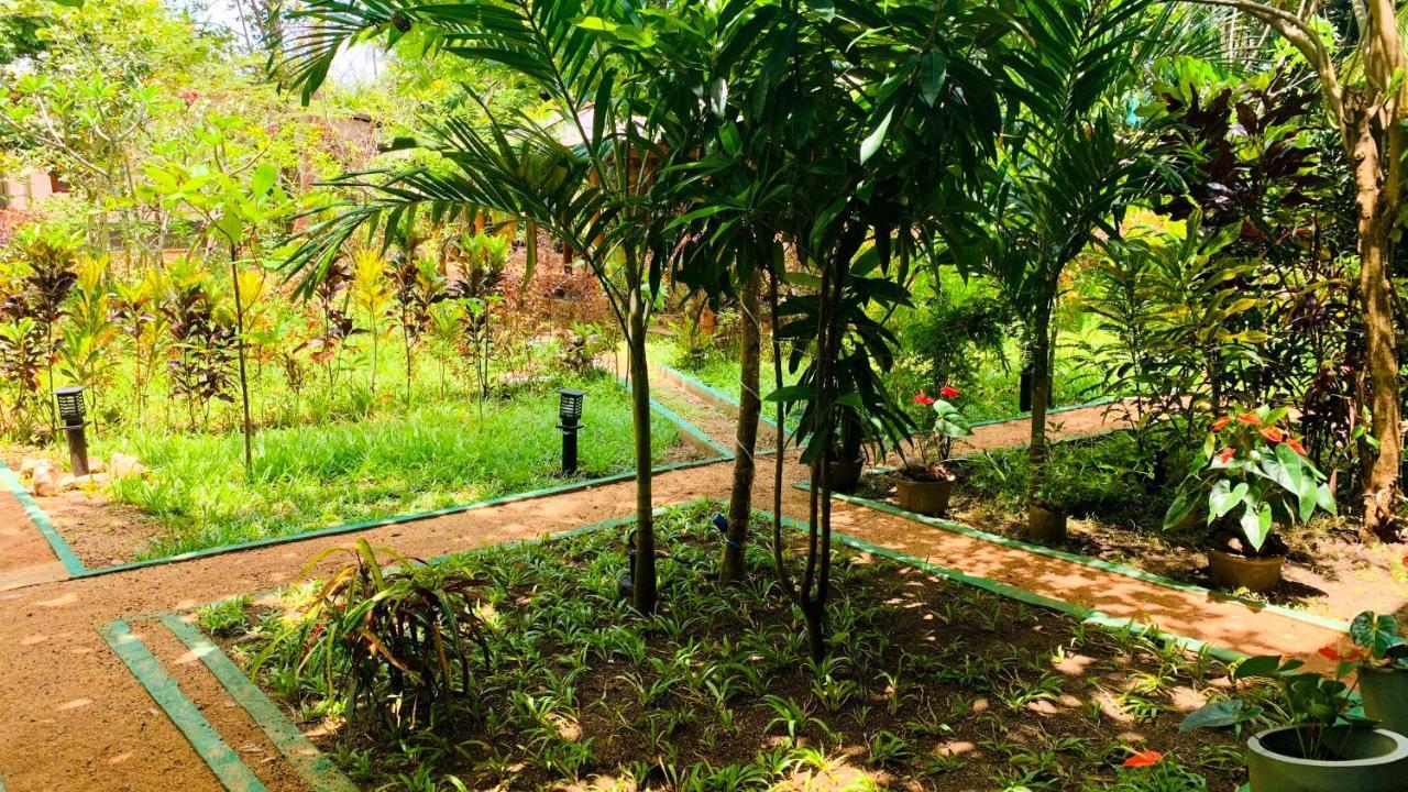Sigiri Starwing Villa Sigiriya Exterior foto
